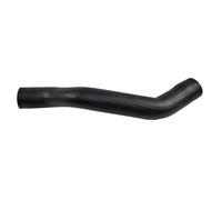 Manguera De Carga Intercooler Sin Abrazaderas METZGER Para Incluyendo FORD FOCUS