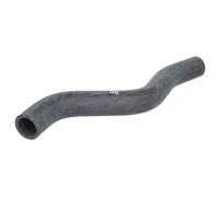 Manguera de goma, sistema de refrigeración FEBI BILSTEIN 35051