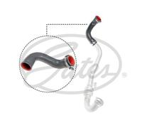 MANGUERA DE INTERCOOLER PARA Renault Scénic II JM0/1_ 1.5 dCi Megane KM0/1_
