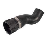 Manguera de radiador FEBI BILSTEIN 171591