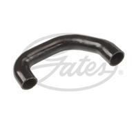 Manguera de radiador GATES 05-3355