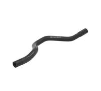 Manguera de radiador SASIC 3400098