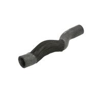 Manguera de radiador SASIC 3400213