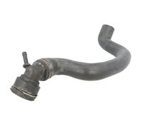 Manguera del sistema de refrigeración a la derecha arriba 3406165 SASIC para VW