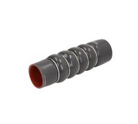 Manguera de radiador THERMOTEC DCG141TT