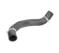 Manguera de radiador THERMOTEC DW0576TT