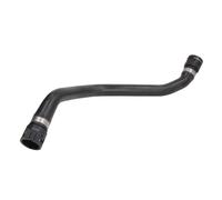 Manguera de radiador THERMOTEC DWB023TT