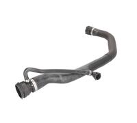 Manguera de radiador THERMOTEC DWB095TT
