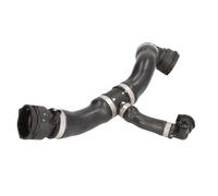 Manguera de radiador THERMOTEC DWB147TT