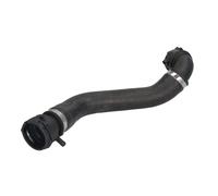 Manguera de radiador THERMOTEC DWB311TT