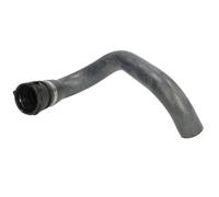 Manguera de radiador THERMOTEC DWD011TT