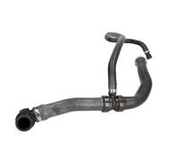 Manguera de radiador THERMOTEC DWF295TT