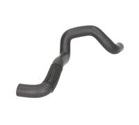 Manguera de radiador THERMOTEC DWG038TT