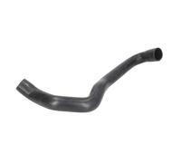 Manguera de radiador THERMOTEC DWM063TT