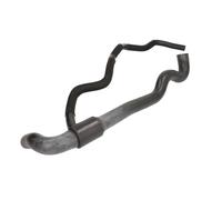 Manguera de radiador THERMOTEC DWR241TT
