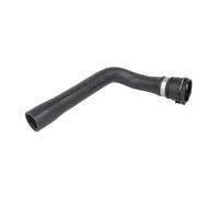 Manguera de radiador THERMOTEC DWW120TT
