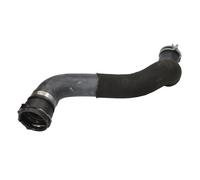 Manguera de radiador THERMOTEC DWX060TT