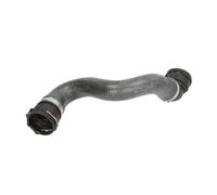 Manguera del sistema de refrigeración debajo DWX148TT THERMOTEC para OPEL
