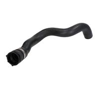 Manguera de radiador THERMOTEC DWX254TT