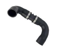 Manguera de Refrigerante Compatible Con F20 F21 2012 2013-2019 Tanque De Agua Automóvil Manguera De Radiador Manguera De Refrigerante Tubería De Calentador Tubería De Agua Refrigerante 11537615608