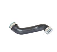 Manguera de sobrealimentación BUGIAD 82700 para OE 1220914 - 3M219C606BA