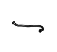 Manguera del radiador EPDM (Ethylen-Propylen-Dien-Caucho) 02-1669 GATES para BMW