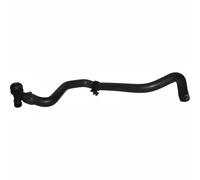 JP Group Tubería radiador 1114312900 Inferior entre radiador y bomba de agua para Audi Skoda VW