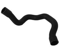 Manguera de radiador SASIC 3406059