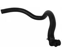 Manguera de radiador SASIC 3400126