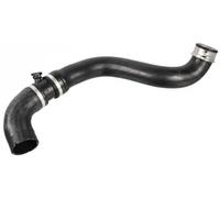 FEBI BILSTEIN Tubería de radiador para MERCEDES-BENZ: Classe E, Classe CLS (Ref: 172431)