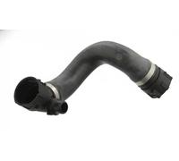 Manguera del sistema de refrigeración centro derecha 103464 FEBI BILSTEIN
