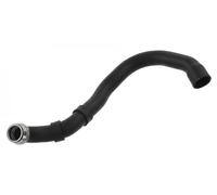 Manguera de radiador FEBI BILSTEIN 46264