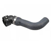 Manguera del sistema de refrigeración derecha abajo FT61403 FAST para FIAT PANDA