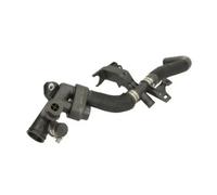 Manguera del sistema de refrigeración DWB100TT THERMOTEC para PEUGEOT CITROËN