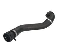 Manguera del sistema de refrigeración EPDM (Ethylen-Propylen-Dien-Caucho)