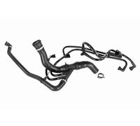 Manguera del sistema de refrigeración V48-0606 VAICO para LAND ROVER DISCOVERY V