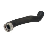 Tubo de aire Entrada DCA003TT THERMOTEC para AUDI A6 C6 A4 B7 A4 B7 Avant