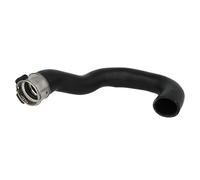 Manguera, enfriador de aire THERMOTEC DCX026TT derecha