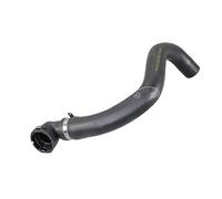 Manguera Enfriador Izquierda Inferior De Motor METZGER para U.a. Alfa Romeo 147
