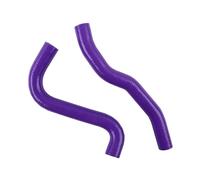 Manguera Silicona Para Refrigerante Radiador Para Ford Para Fiesta MK6 ST150 Facelift 2004-2008 RMS24C 2.0 Duratec ST(Purple)