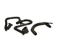 Manguera, ventilación de tapa de culata HANS PRIES 116 496