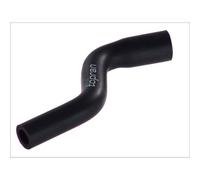 Manguera, ventilación de tapa de culata HANS PRIES 206 558