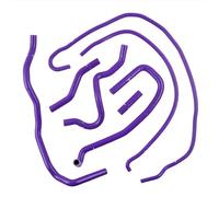 Mangueras del radiador Compatible Con Ford Para Fiesta Mk6 ST 150 Facelift 2.0 Duratec ST 2006 2007 2008 Kit De Manguera De Refrigerante De Radiador De Silicona Para Motor De Coche(E)