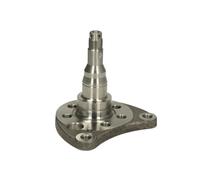 Mangueta de eje, suspensión de rueda BTA H5W008BTA