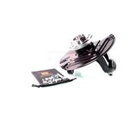 Mangueta de la rueda Alerón delantero AGHGH-281593H GH