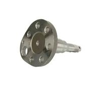 Mangueta de la rueda Eje trasero, derecha H5W027BTA BTA para VW SEAT