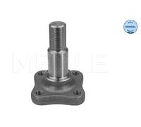 MEYLE 16-14 501 0000 Cubo de rueda Trasero Derecha Trasero Izquierda