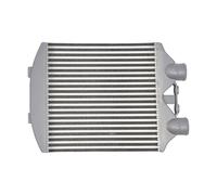 Manguito Admisión Para Asiento Para Ibiza Mk4 Para VW Para Polo 9N3 Para Skoda Para Fabia LLK Para Deporte Turbo Enfriador Intercooler De Aluminio Manguera Entrada Aire
