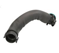 Manguito, ventilación culata VAICO V20-2245 para BMW 1 (F21) 2 2011-2019