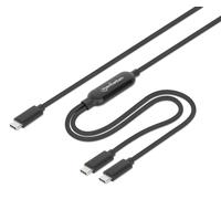 Manhattan Dual USB-C to USB-C Charging Cable, 100W, 2m, Male to Two Males, Smart